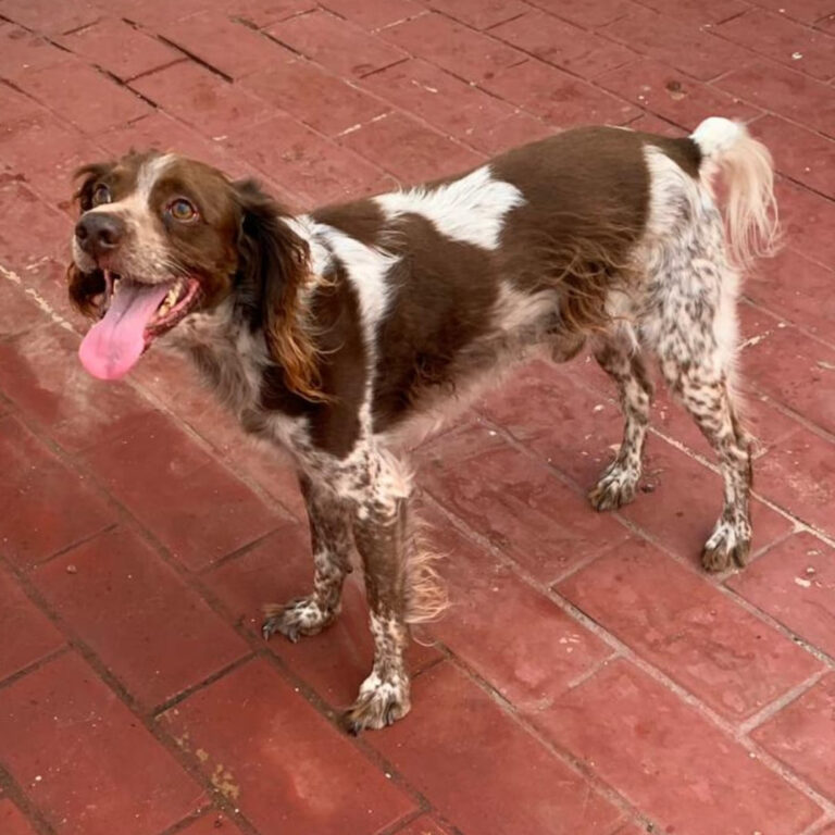 multimedia-foto67484-651-1