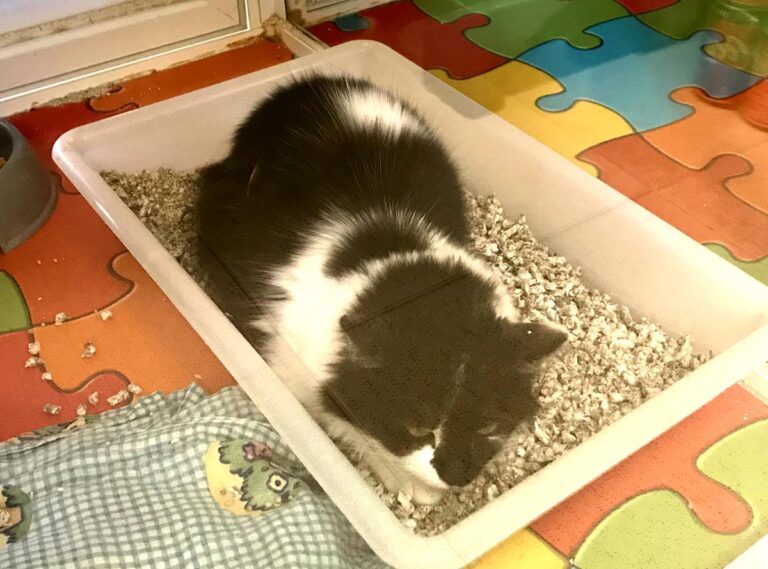 multimedia-foto67492-81-1