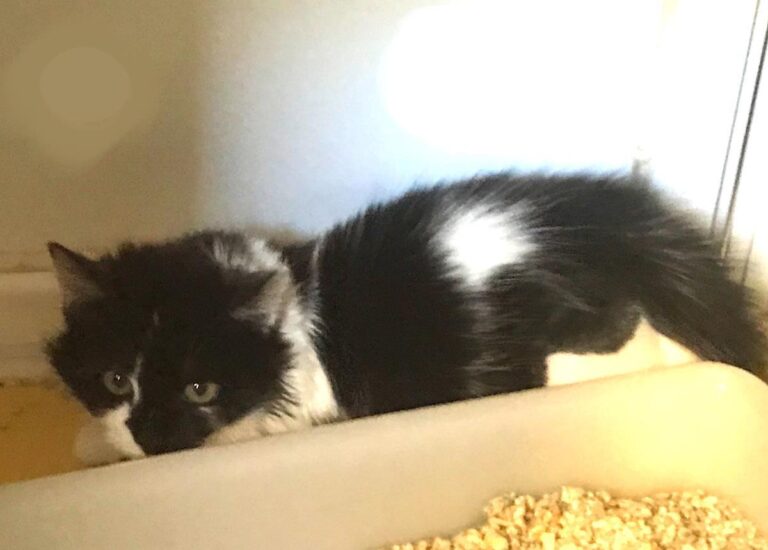 multimedia-foto67493-81-1