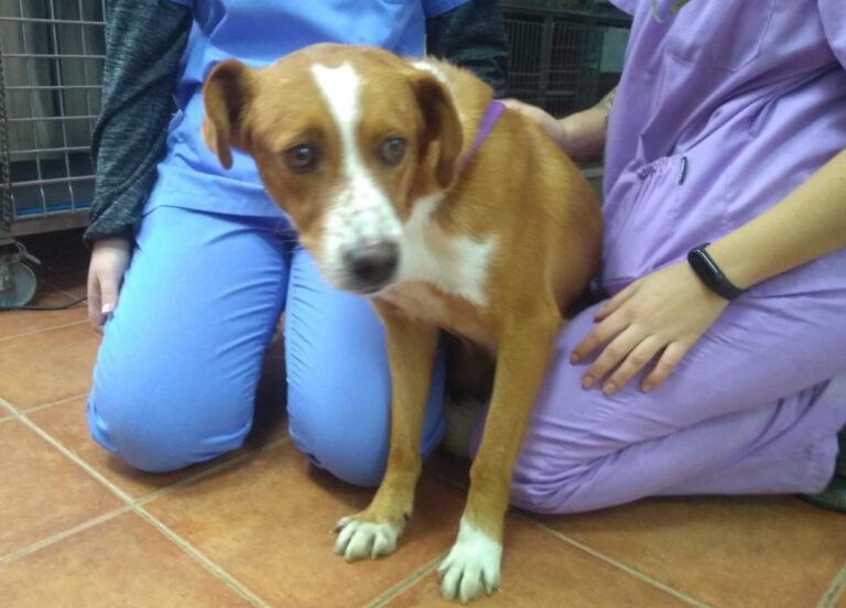 multimedia-foto67496-647-1