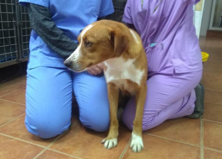 multimedia-foto67497-648-1