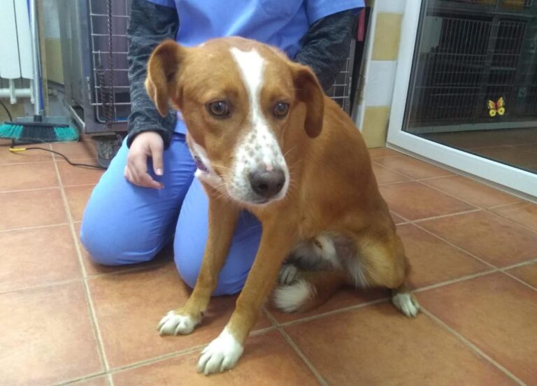 multimedia-foto67498-648-1