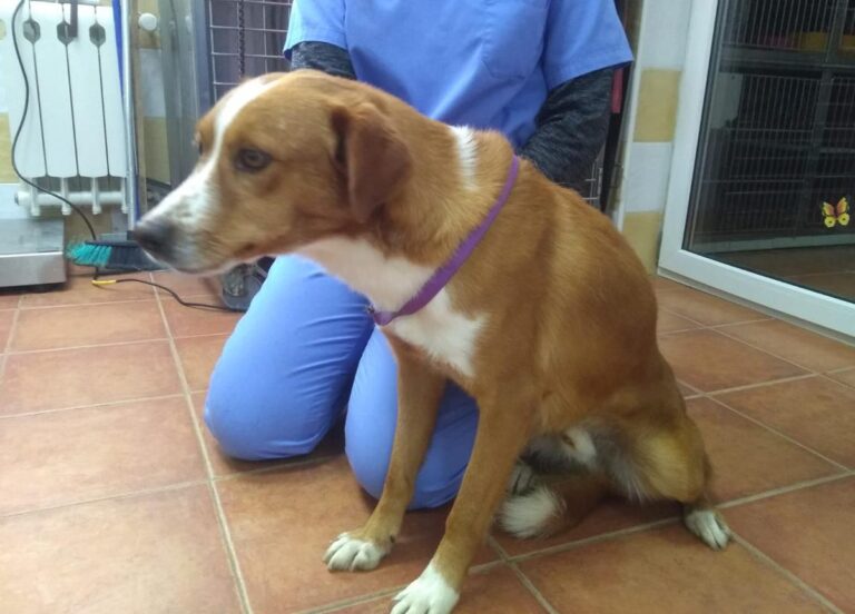 multimedia-foto67499-649-1