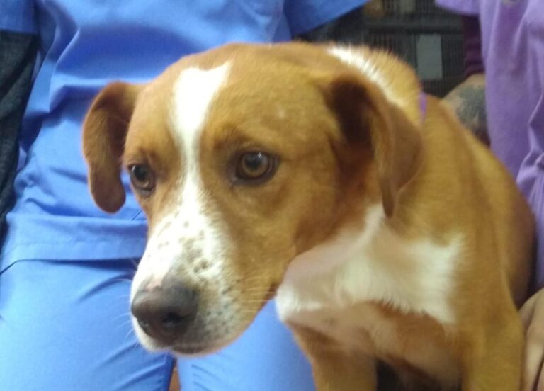 multimedia-foto67500-649-1