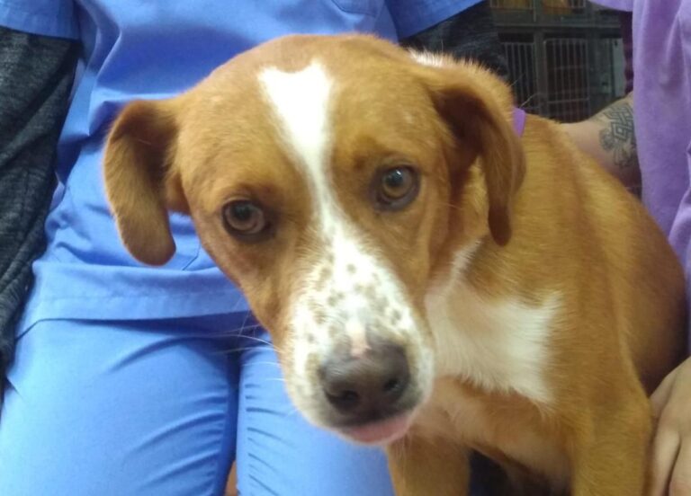 multimedia-foto67501-650-1