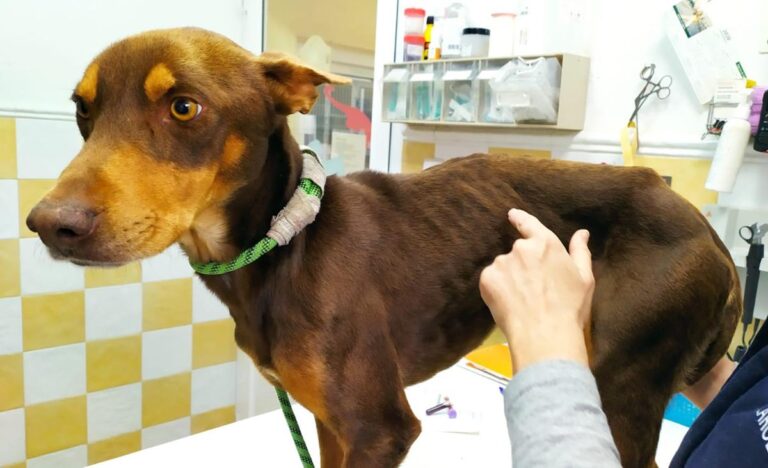 multimedia-foto67529-471-1