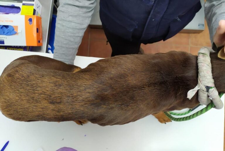 multimedia-foto67530-471-1