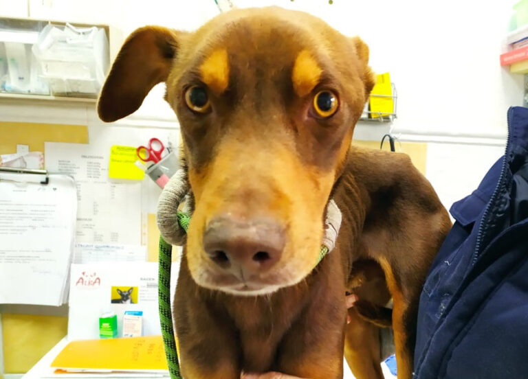 multimedia-foto67531-472-1