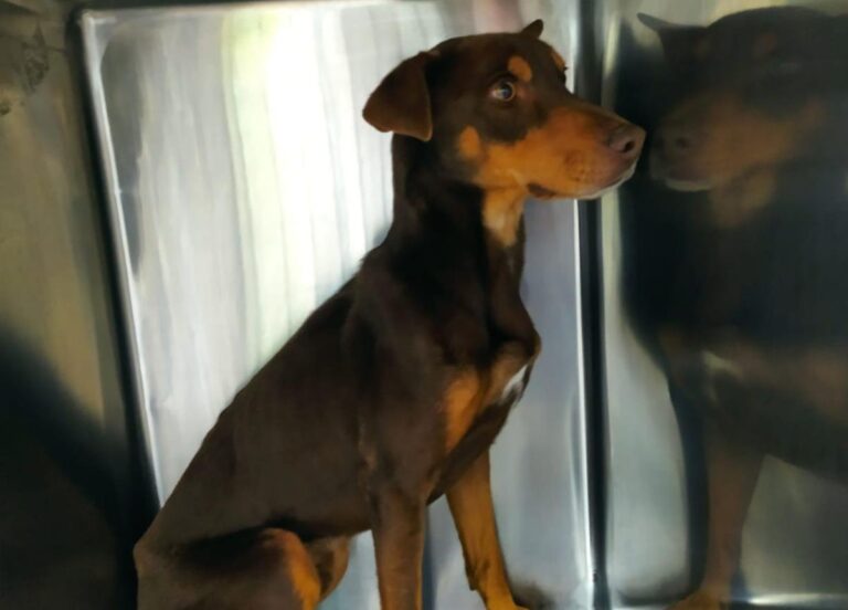 multimedia-foto67533-473-1