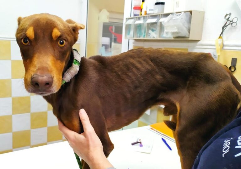 multimedia-foto67534-473-1