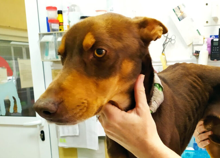 multimedia-foto67535-474-1