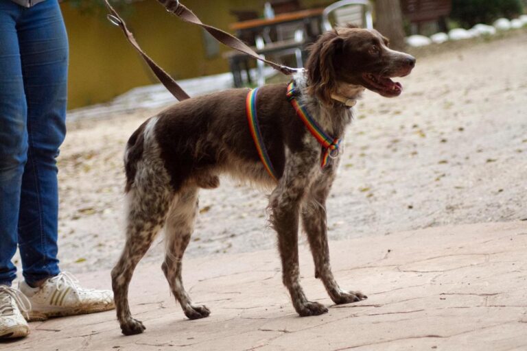 multimedia-foto67536-580-1