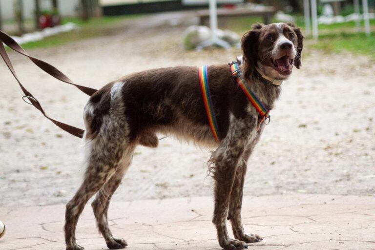 multimedia-foto67537-580-1