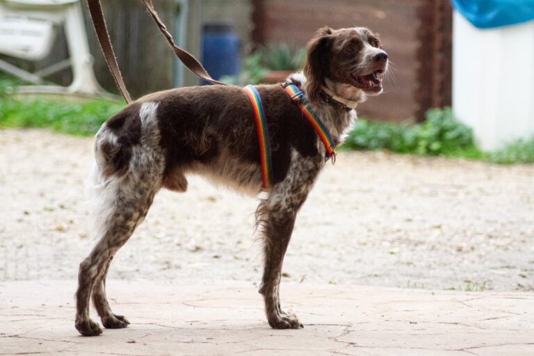 multimedia-foto67538-581-1