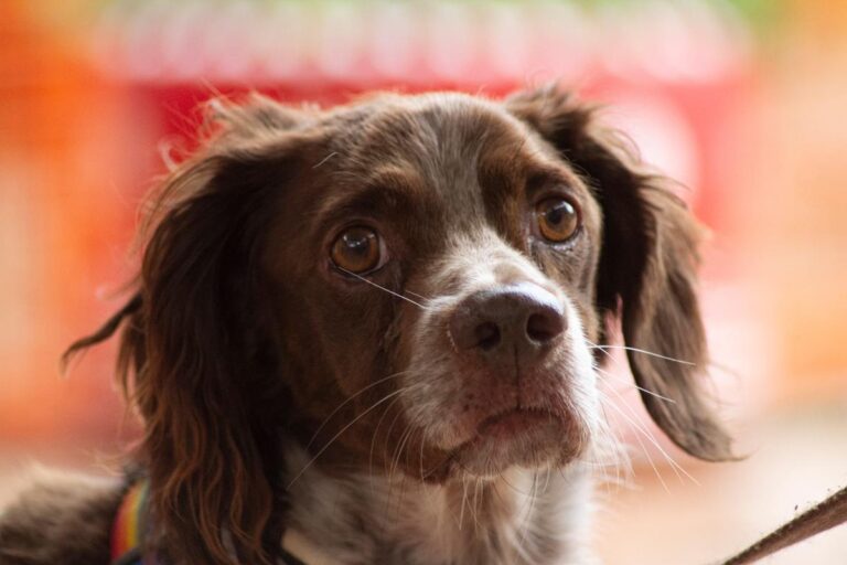 multimedia-foto67540-582-1