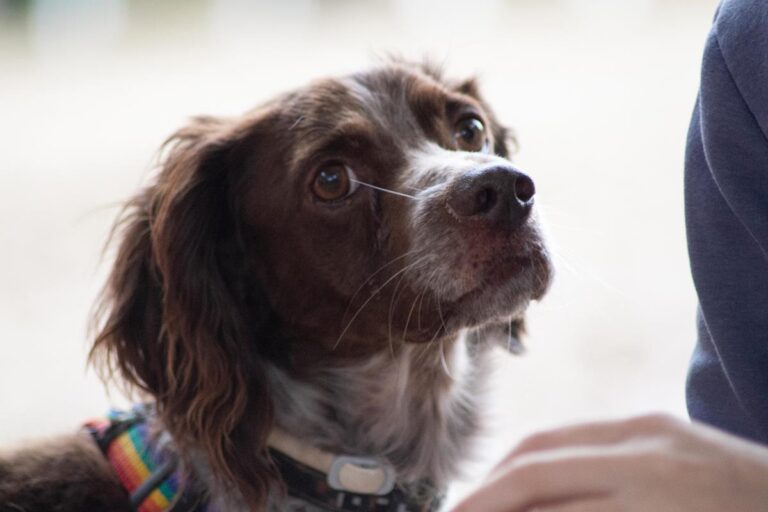 multimedia-foto67541-583-1