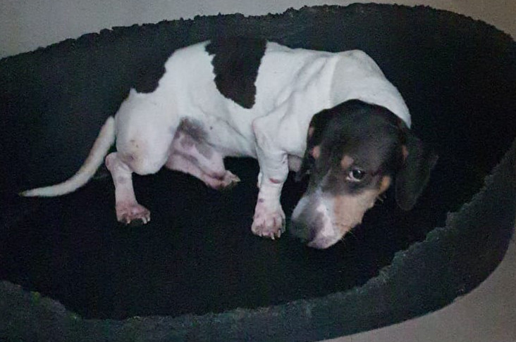 multimedia-foto67545-486-1