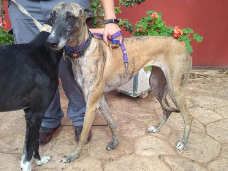 multimedia-foto67581-792-1