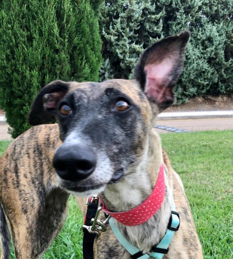 multimedia-foto67582-792-1