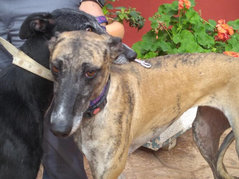 multimedia-foto67583-793-1