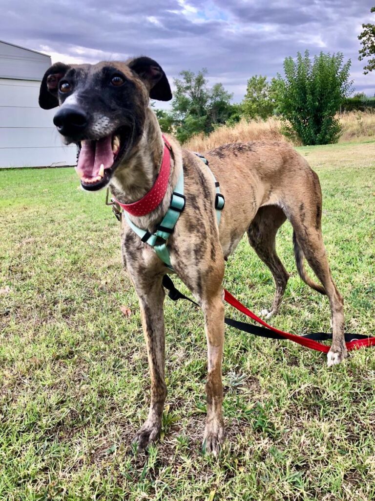 multimedia-foto67584-794-1