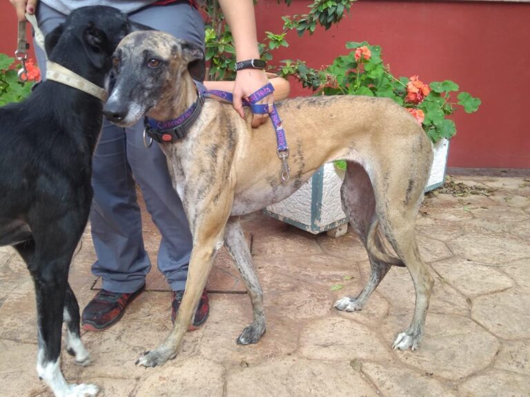 multimedia-foto67585-794-1