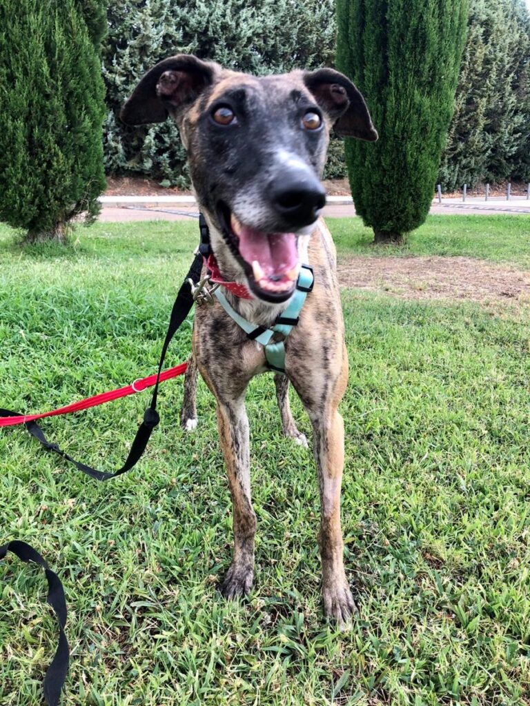 multimedia-foto67586-795-1