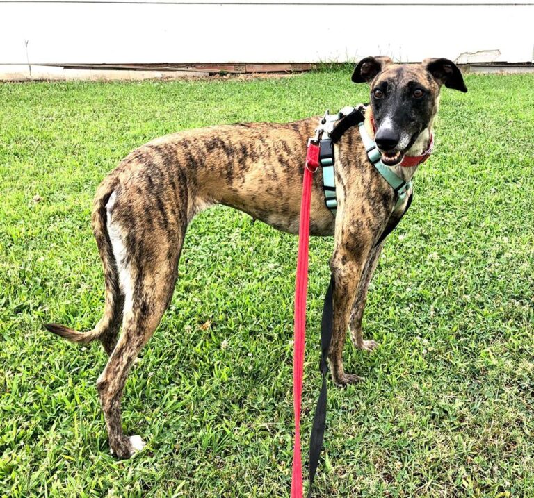 multimedia-foto67587-795-1