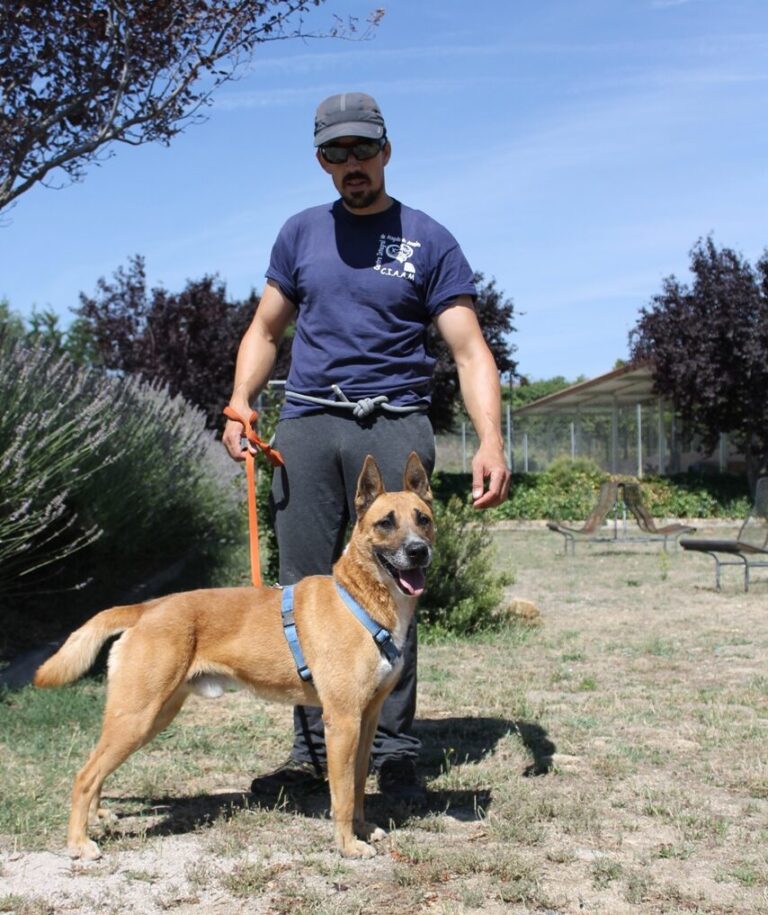 multimedia-foto67589-636-1