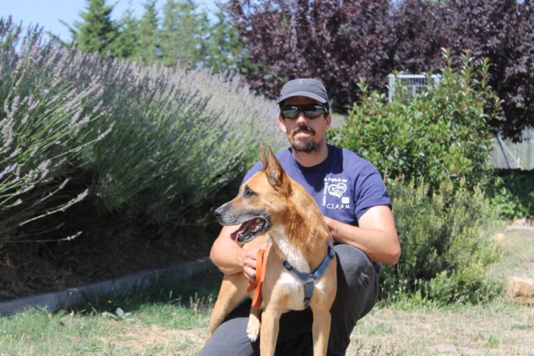 multimedia-foto67590-636-1