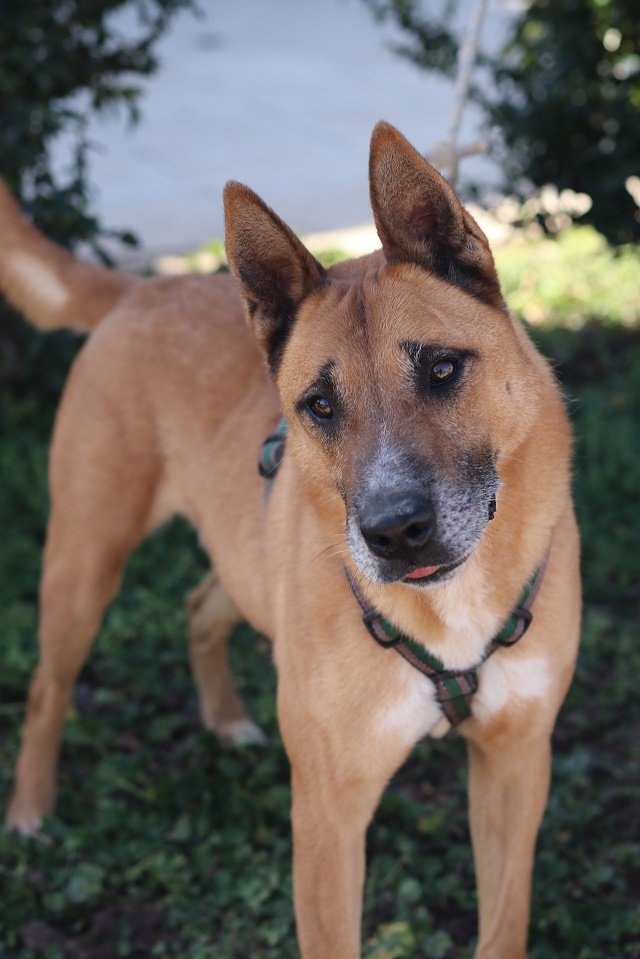 multimedia-foto67591-637-1