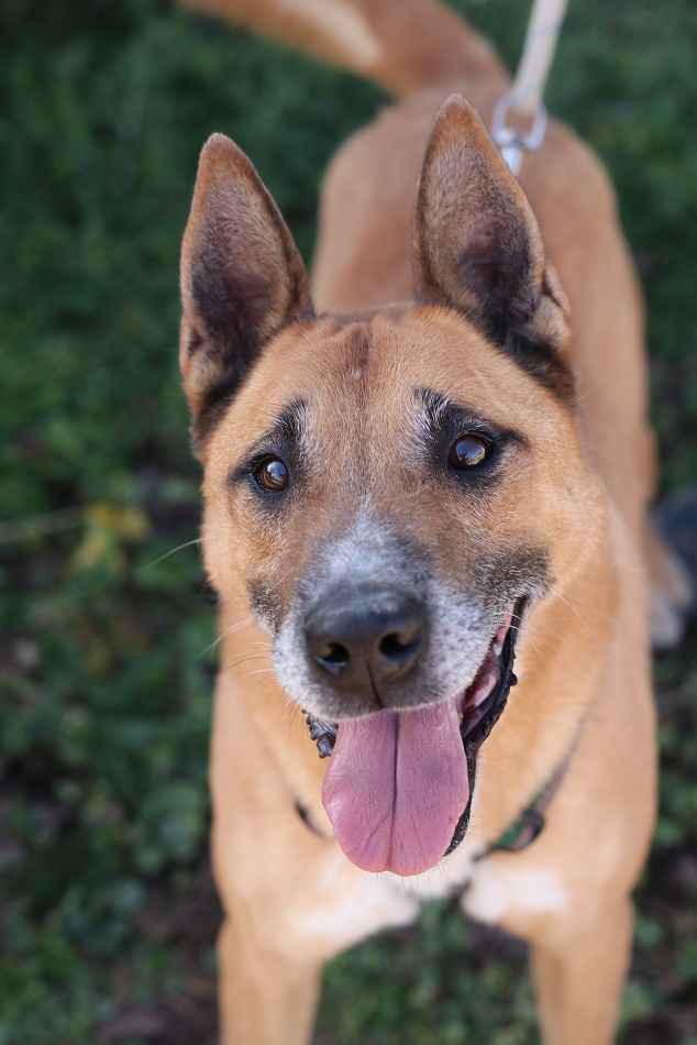 multimedia-foto67592-637-1