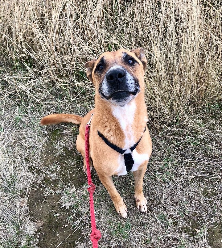 multimedia-foto67593-638-1