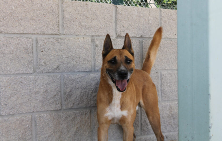 multimedia-foto67594-639-1