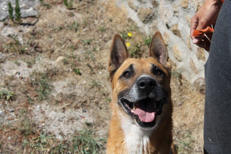 multimedia-foto67595-639-1