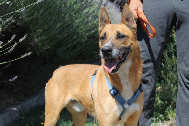 multimedia-foto67596-640-1