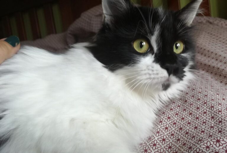 multimedia-foto67599-347-1