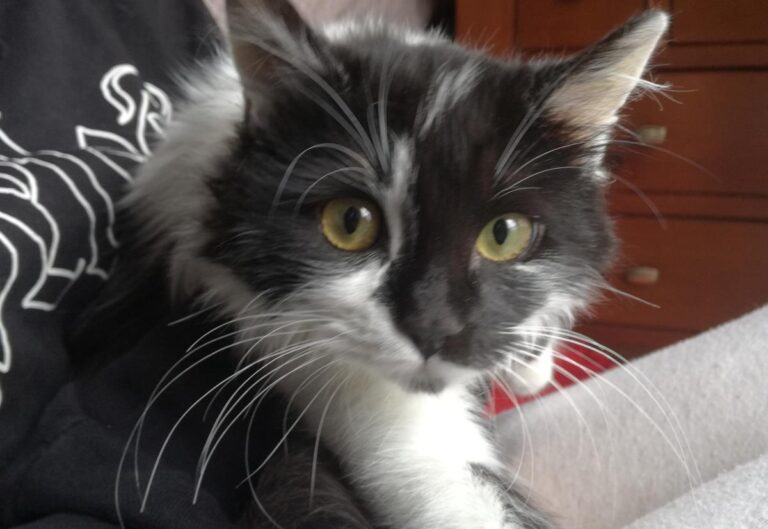 multimedia-foto67602-349-1