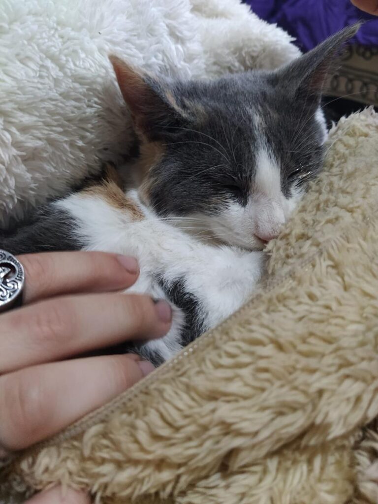 multimedia-foto67604-616-1