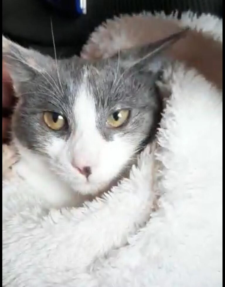 multimedia-foto67606-617-1