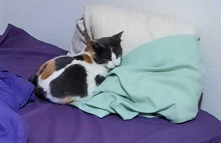 multimedia-foto67607-617-1