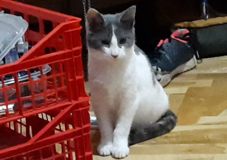 multimedia-foto67608-618-1