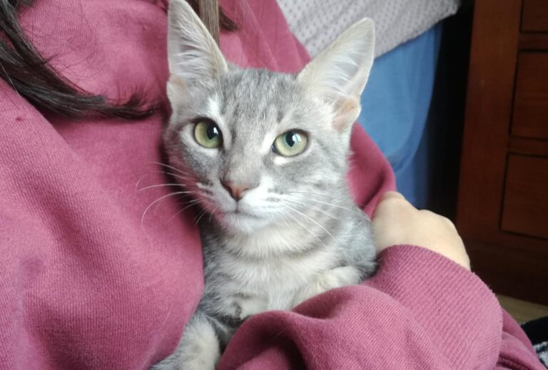 multimedia-foto67612-797-1