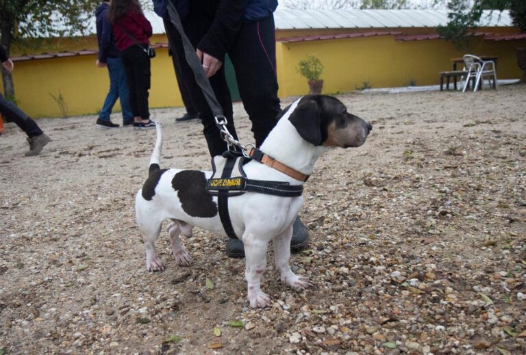 multimedia-foto67613-813-1