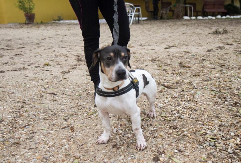 multimedia-foto67614-813-1