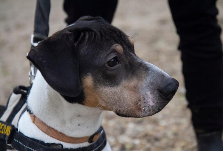 multimedia-foto67615-814-1