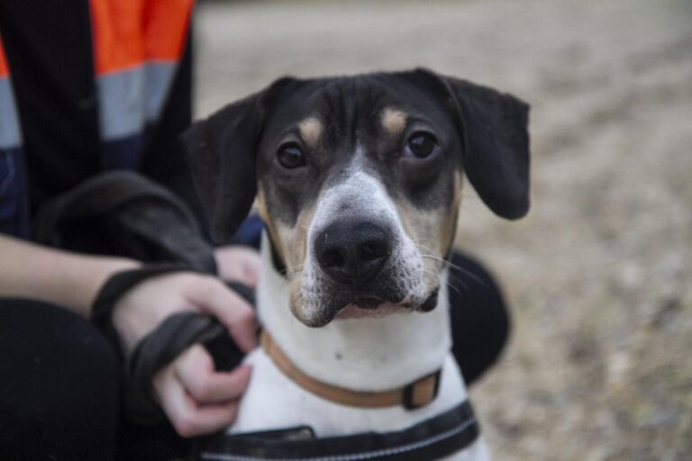 multimedia-foto67616-814-1