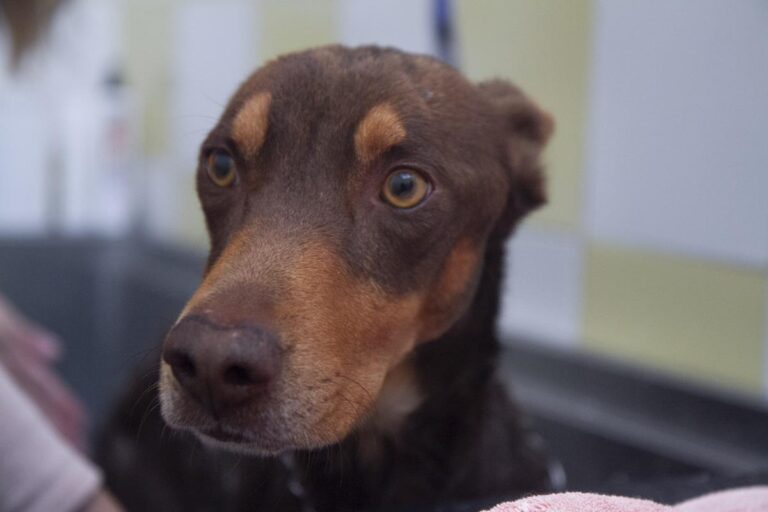 multimedia-foto67631-935-1