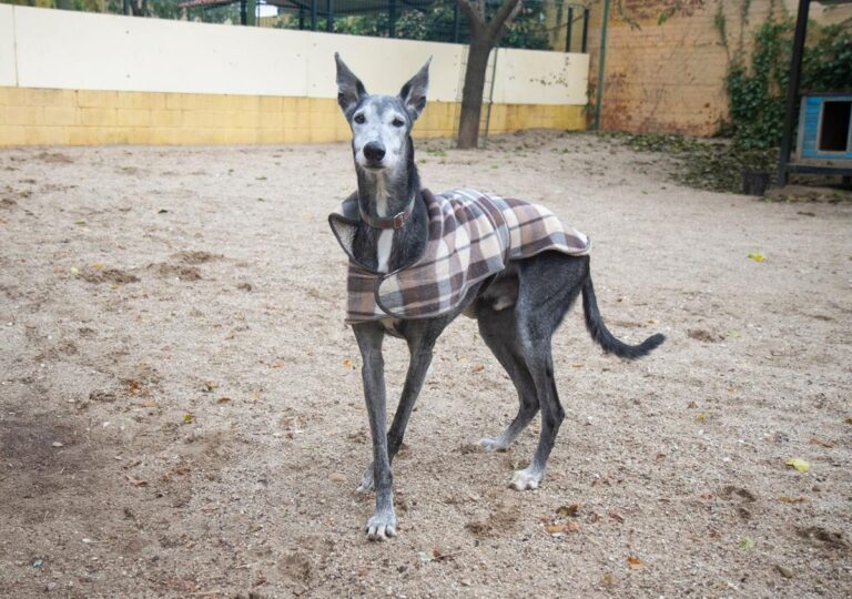 multimedia-foto67632-977-3