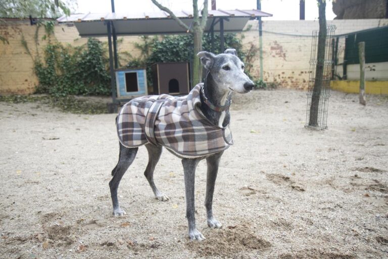 multimedia-foto67633-978-3